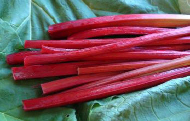 red rhubarb